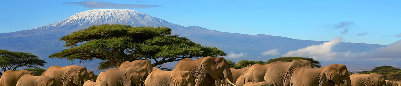 Afrique australe | Jacqueson Voyages